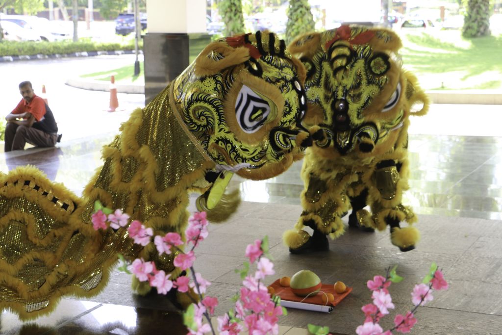 Chinese New Year Lion Dance 13