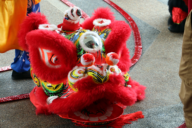 Chinese New Year Lion Dance 6