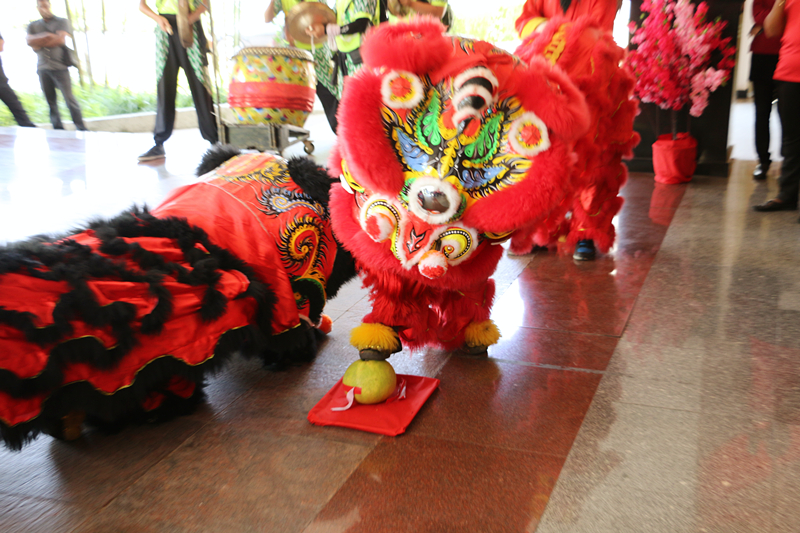Chinese New Year Lion Dance 10
