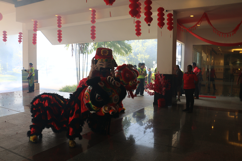 Chinese New Year Lion Dance 16