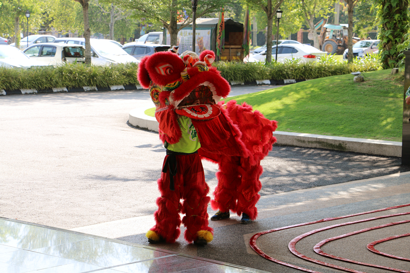 Chinese New Year Lion Dance 5